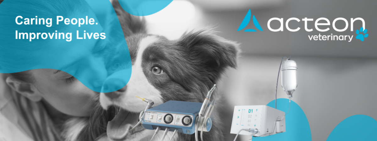 Dental Installations (Aust) Pty Ltd