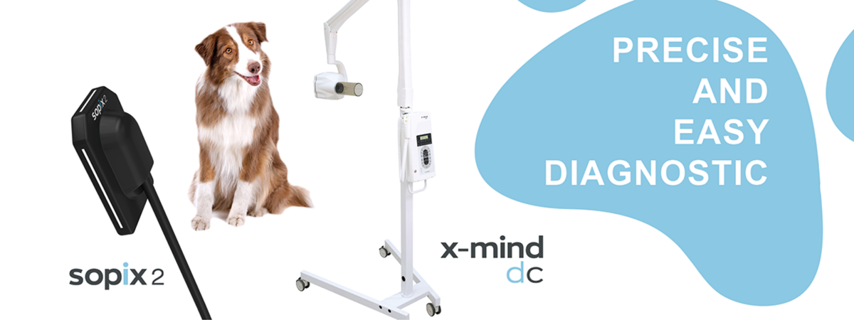 Dental Installations (Aust) Pty Ltd
