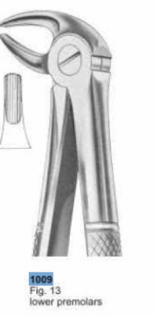 DiaGuru Extraction Forceps #13 – Lower Premolars