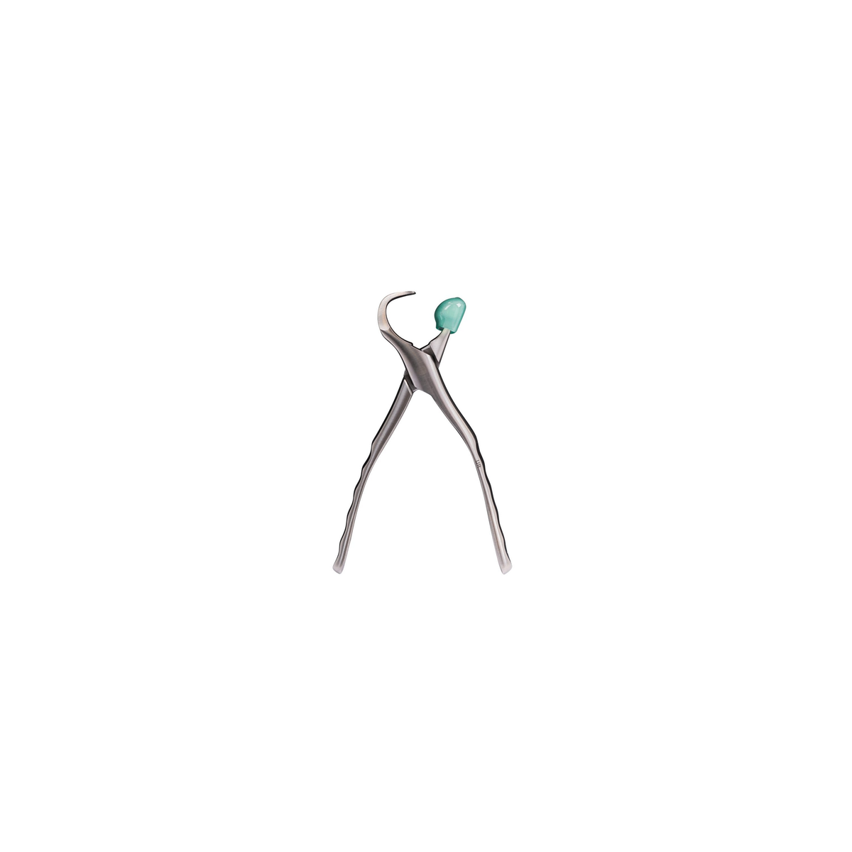 Directa Physics Forceps Upper Right GMX 50 – SKU DT-506102