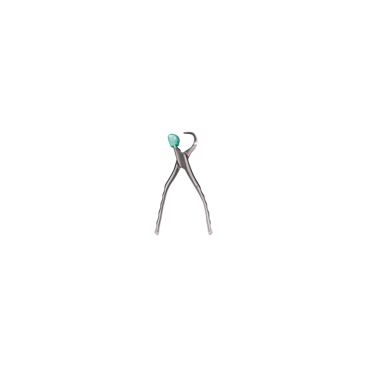 Directa Physics Forceps Upper Left GMX 50 – SKU DT-506103