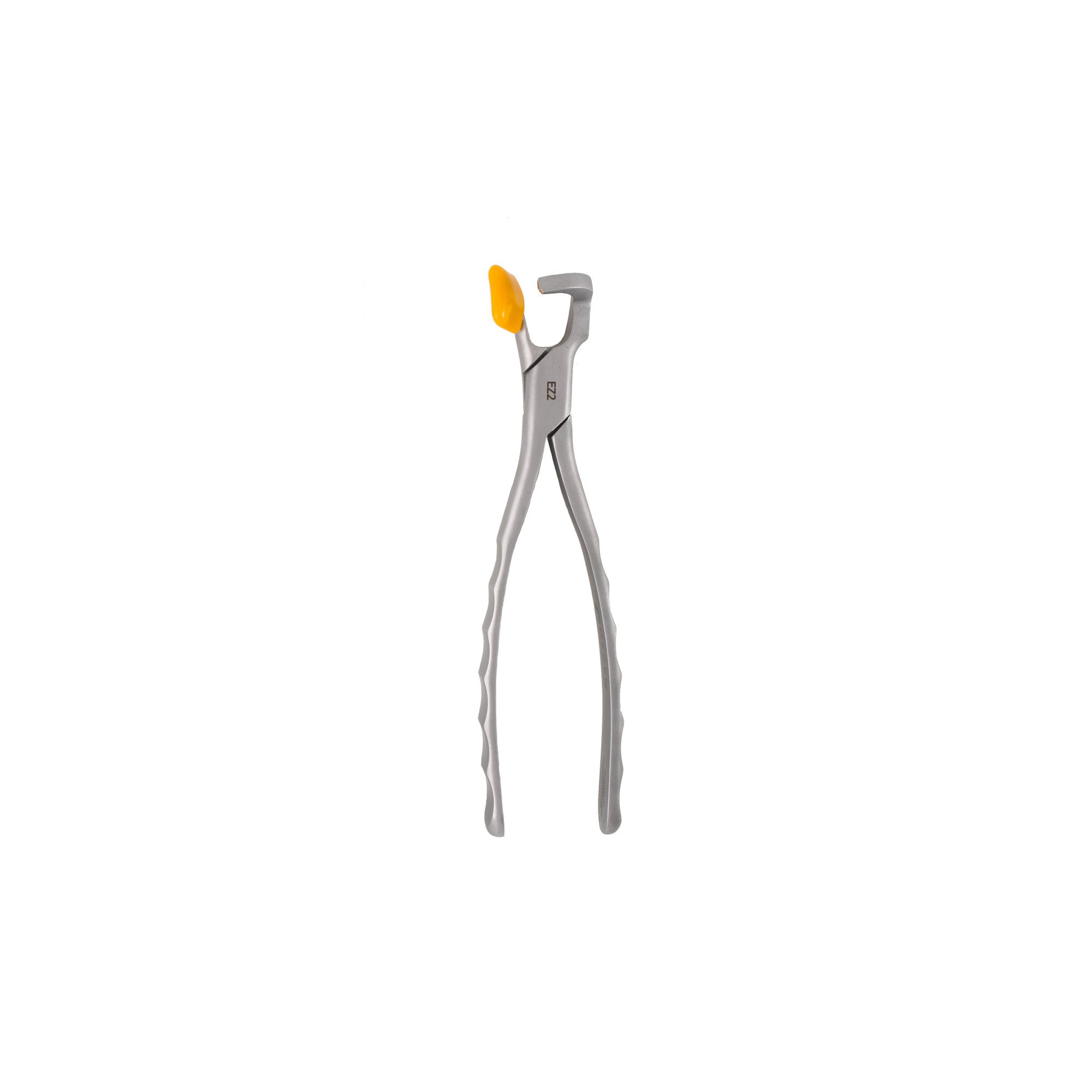Directa Physics Forceps Molar GMX 400 EZ2