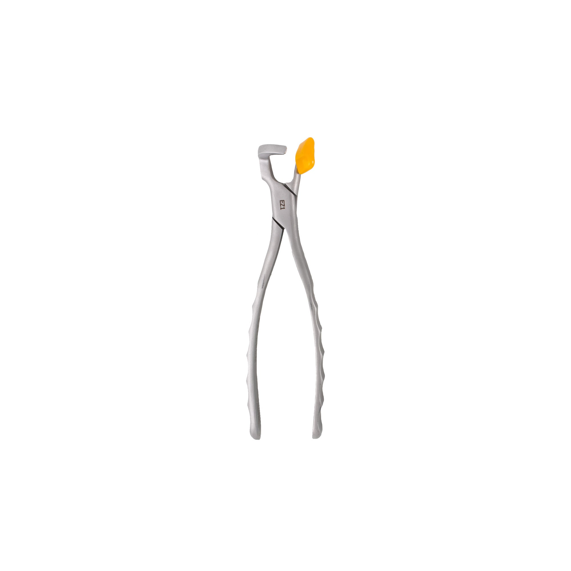 Directa Physics Forceps Molar GMX 400 EZ1