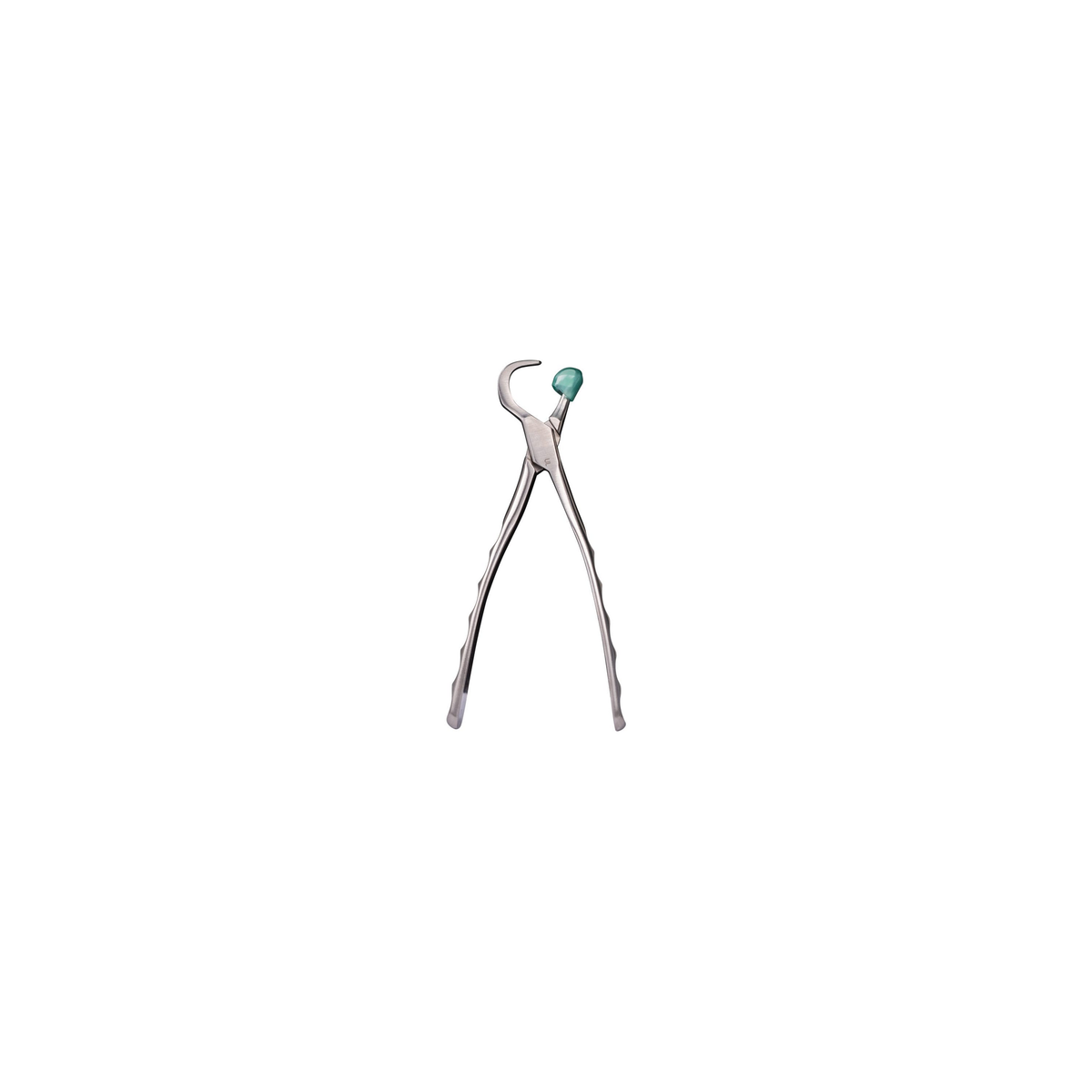 Directa Physics Forceps Upper Left GMX 100 – SKU DT-506106