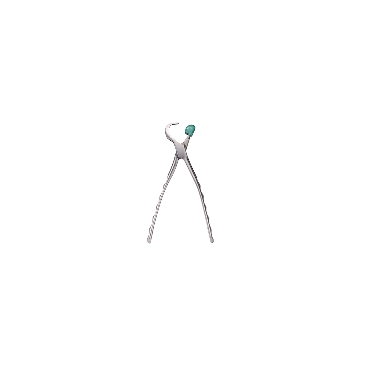 Directa Physics Forceps Upper Right GMX 100 – SKU DT-506107