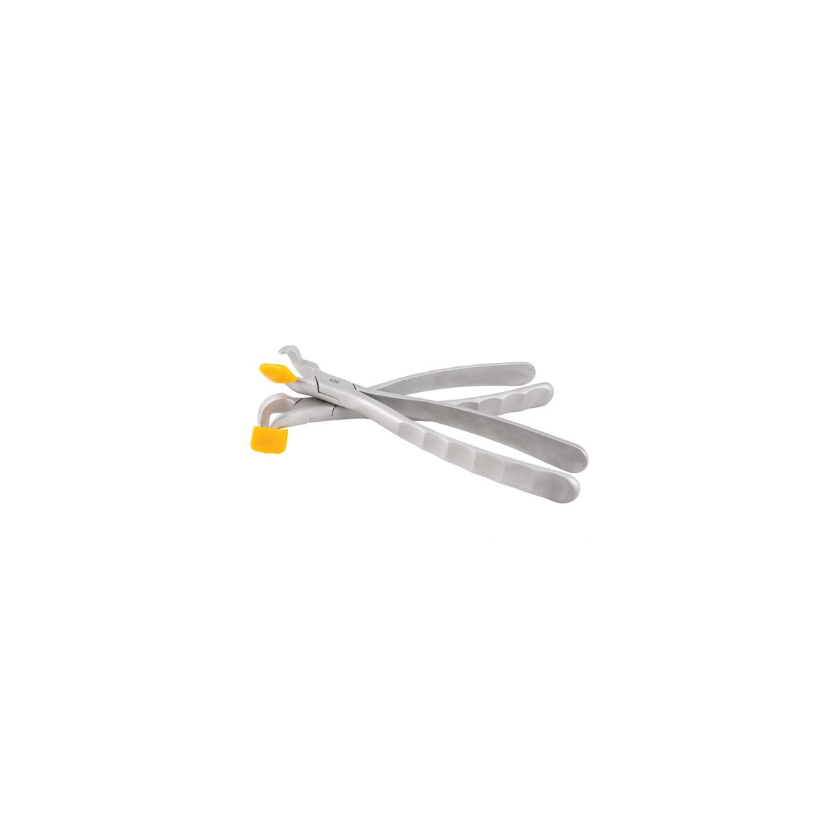 Directa Physics Forceps Molar set GMX 400 – SKU DT-506126