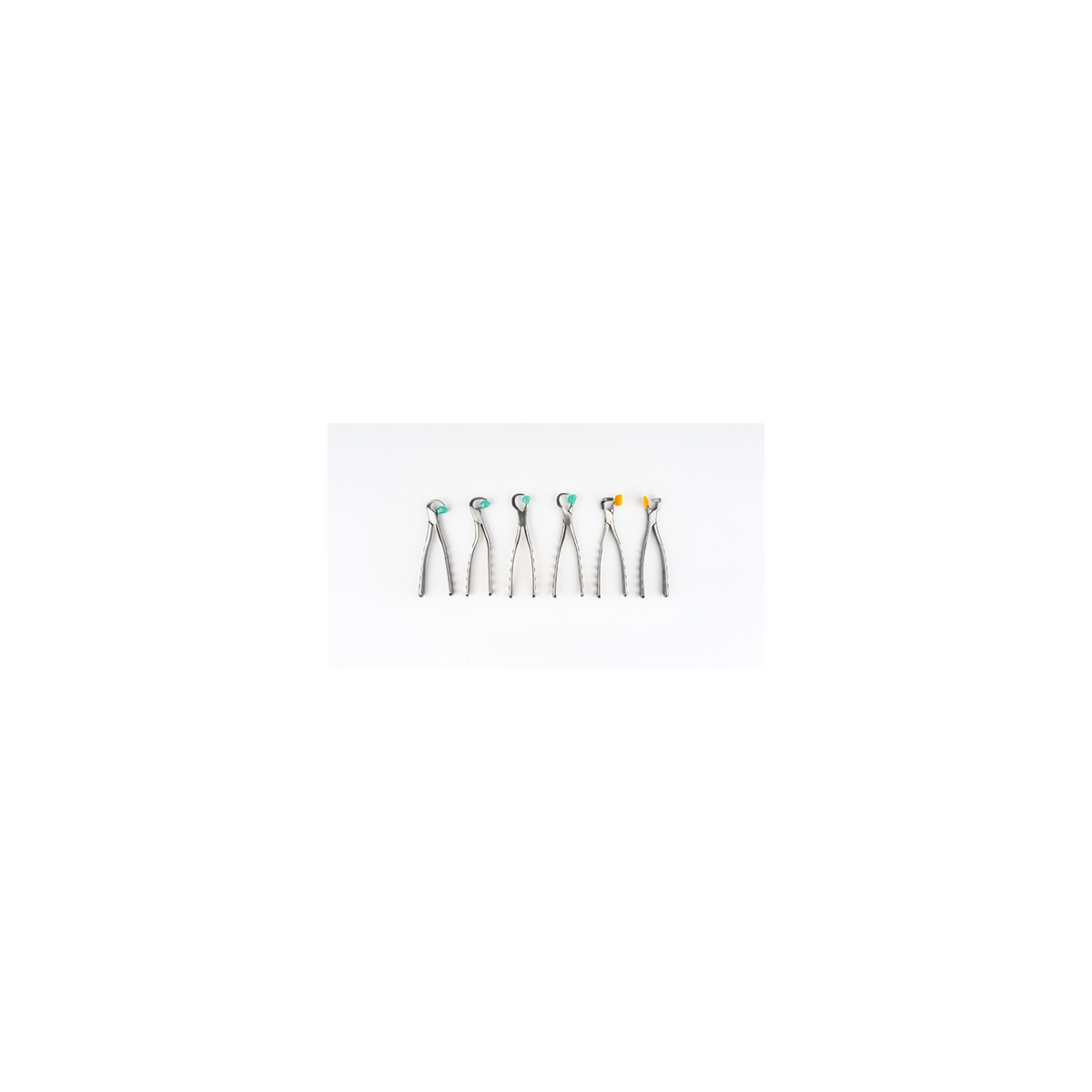 Directa Directa Physics Forceps Golden Package Combo – dental instrument, SKU DT-506128