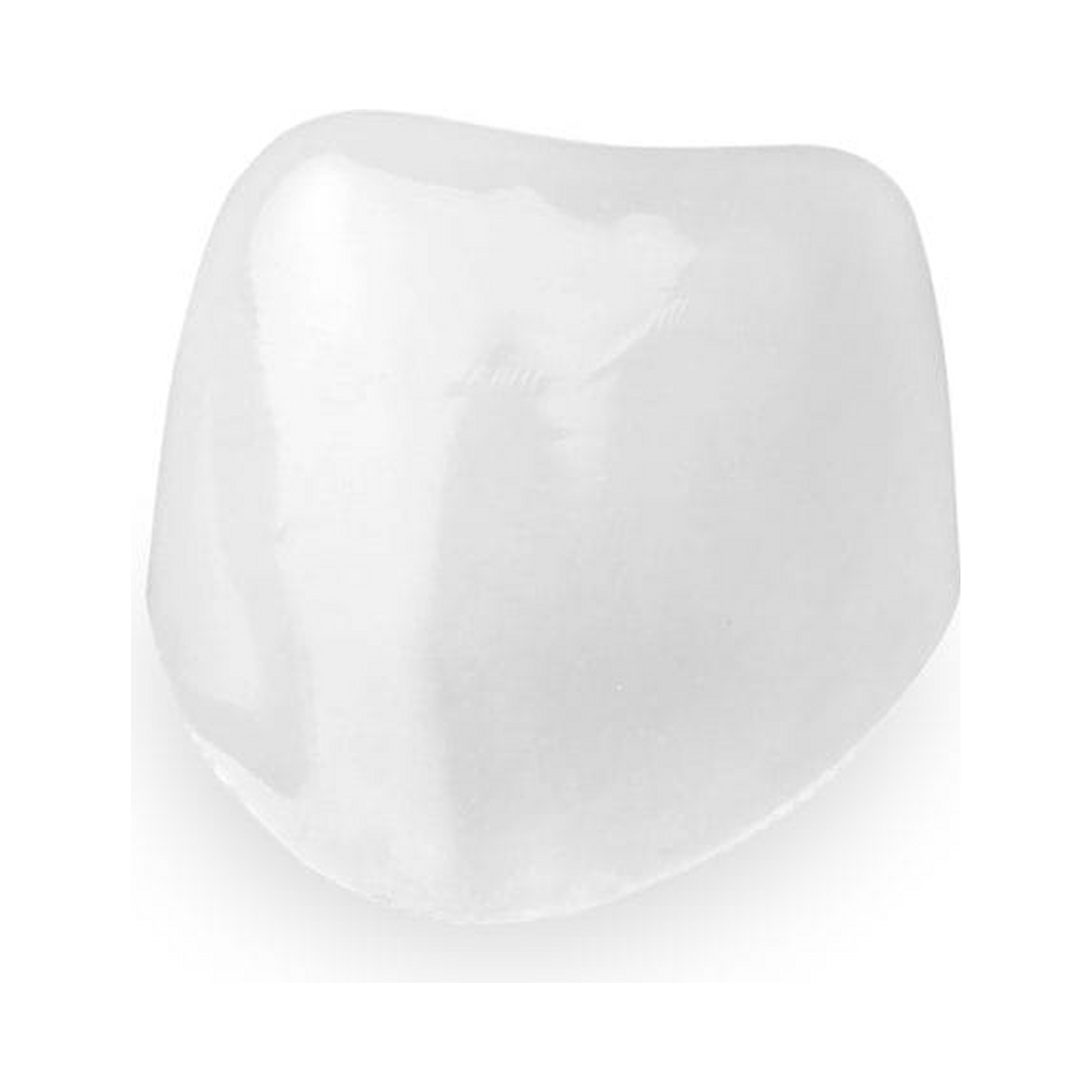 Directa Ceramir Ceramir Pediatric Crown 61/F Large – Pack of 1