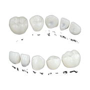 edelweiss Dentistry Pediatric Crown Sizing Guide Set: Includes 6 guides from tooth 5 to 5 (S/M/L up and low)