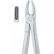 Kohler Dental Extracting Forceps English No. 1 MEDIUM