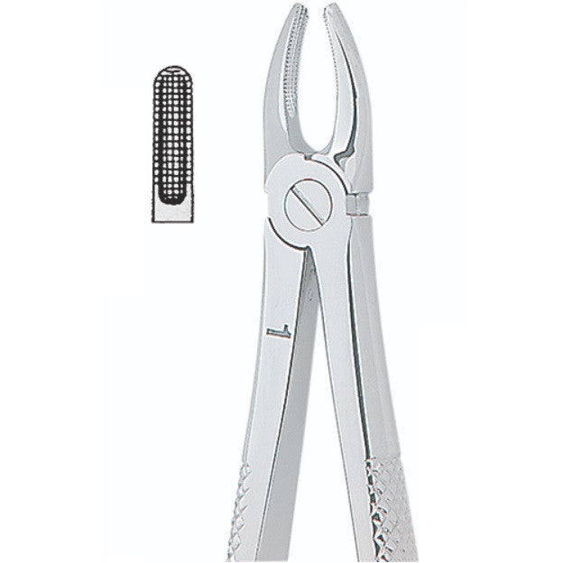 Kohler Dental Extracting Forceps English No. 1 MEDIUM