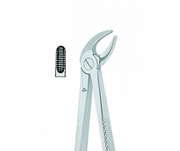 Kohler Dental Extracting Forcpes English No. 4 MEDIUM