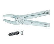 Kohler Dental Extracting Forceps English No. 7 MEDIUM