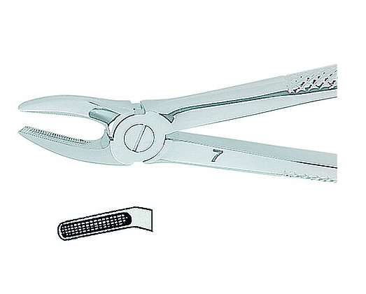 Kohler Dental Extracting Forceps English No. 7 MEDIUM