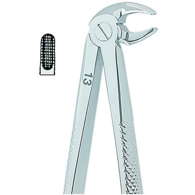 Kohler Dental Extracting Forceps English No. 13 MEDIUM