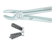 Kohler Dental Extracting Forceps English No. 17 MEDIUM