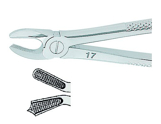 Kohler Dental Extracting Forceps English No. 17 MEDIUM