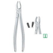 Kohler Dental Extracting Forceps English No. 18 MEDIUM