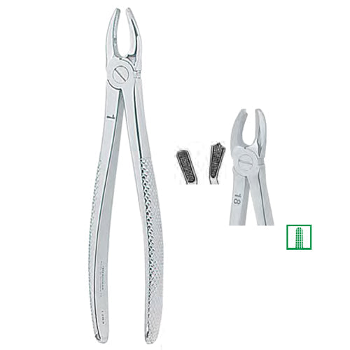Kohler Dental Extracting Forceps English No. 18 MEDIUM