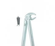 Kohler Dental Extracting Forceps English No. 22 MEDIUM