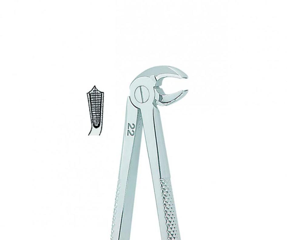 Kohler Dental Extracting Forceps English No. 22 MEDIUM