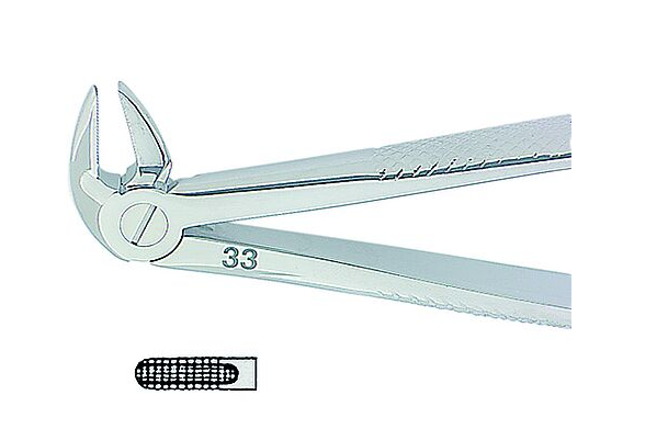 Kohler Dental Extracting Forceps English No. 33 MEDIUM