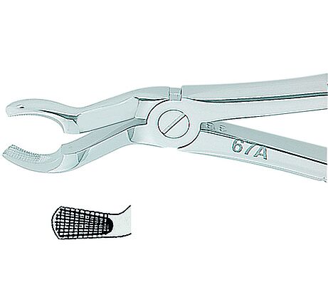 Kohler Dental Extracting Forceps English No. 67 MEDIUM