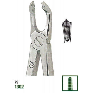 Kohler Dental Extracting Forceps English No. 79 MEDIUM
