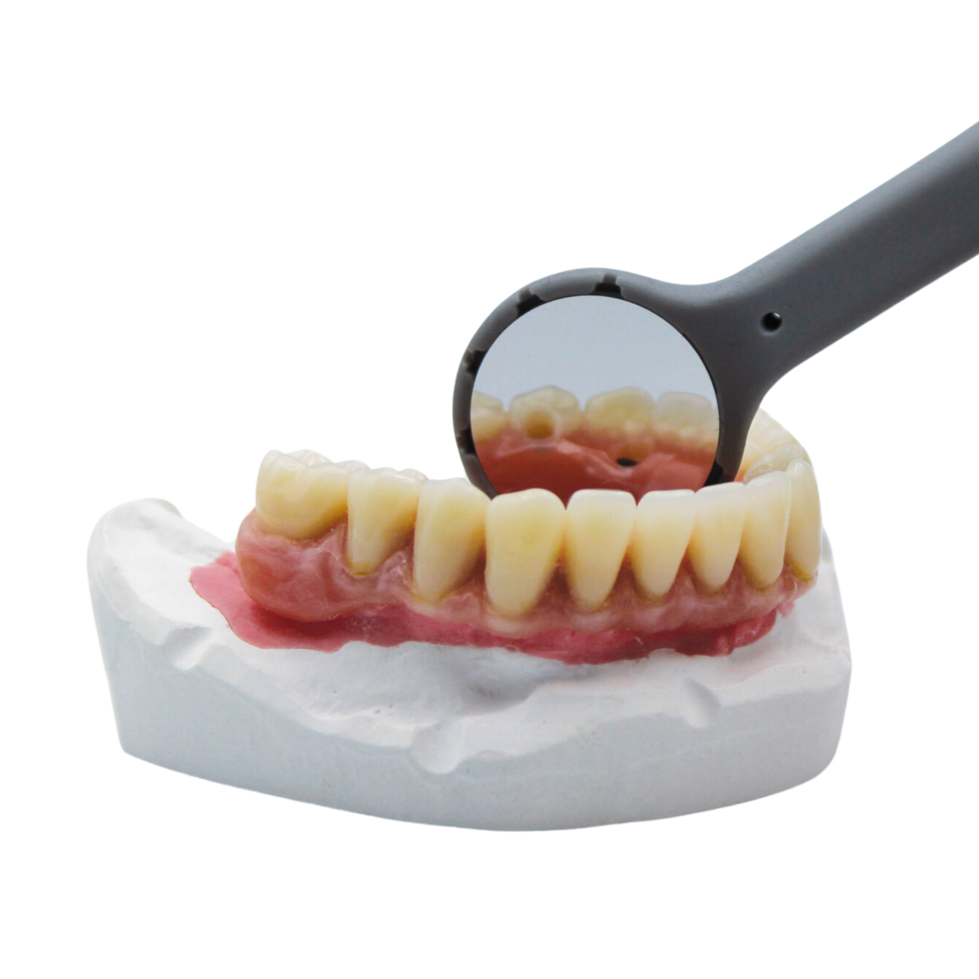 Three different advanced mirrors have 99% high reflectivity, high durability with 30 ceramic layers, and scratch resistance hardness 9H. Those mirrors are light weight and autoclavable at 134℃. PPJ Mirrors model 2 has suction system connection to the dental chair. PPJ Mirrors 1 has Endo gouge on the handle.